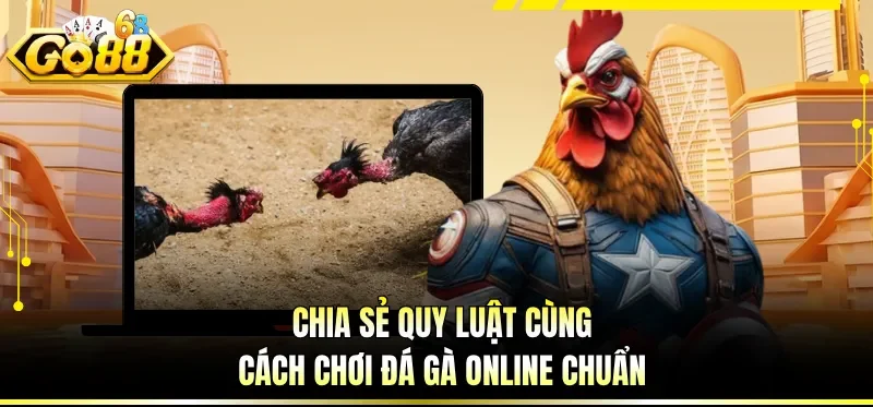 Cách Chơi Đá Gà Online - Cẩm Nang Cược Hiệu Quả Cho Newbie 2 Chia sẻ quy luật cùng cách chơi đá gà online chuẩn