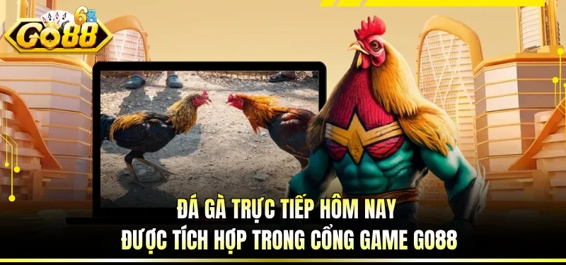 Đá Gà Trực Tiếp Hôm Nay - Trải Nghiệm Nhận Định Cùng GO88 1 Đá gà trực tiếp hôm nay được tích hợp trong cổng game GO88
