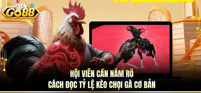 Cách Chơi Đá Gà Online - Cẩm Nang Cược Hiệu Quả Cho Newbie 3 Hội viên cần nắm rõ cách đọc tỷ lệ kèo chọi gà cơ bản