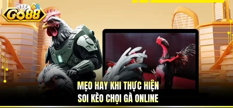 Cách Chơi Đá Gà Online - Cẩm Nang Cược Hiệu Quả Cho Newbie 4 Mẹo hay khi thực hiện soi kèo chọi gà online