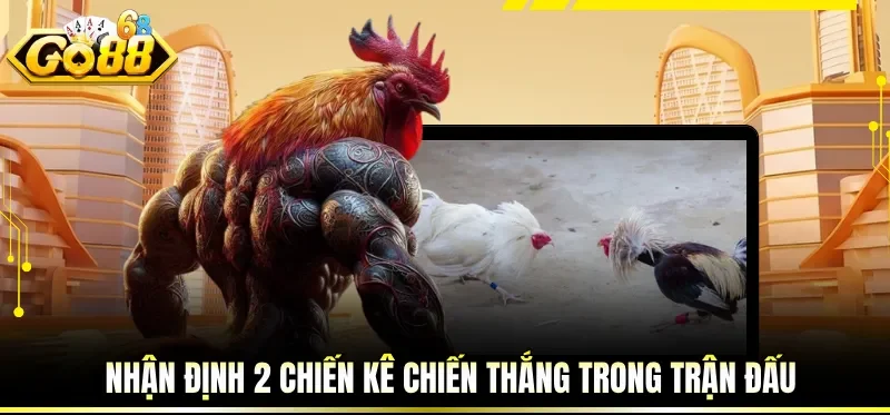 Đá Gà Trực Tiếp Hôm Nay - Trải Nghiệm Nhận Định Cùng GO88 3 Nhận định 2 chiến kê chiến thắng trong trận đấu